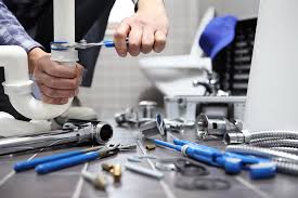 Best Pipe Inspections and Diagnostics  in Rice, MN